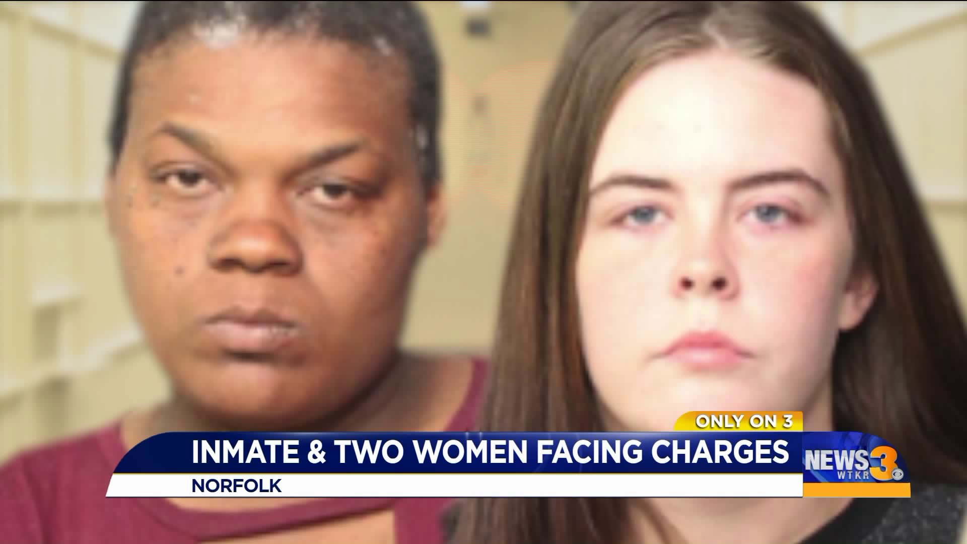 2 Norfolk women accused of having sex with dog while communicating with  inmate in jail