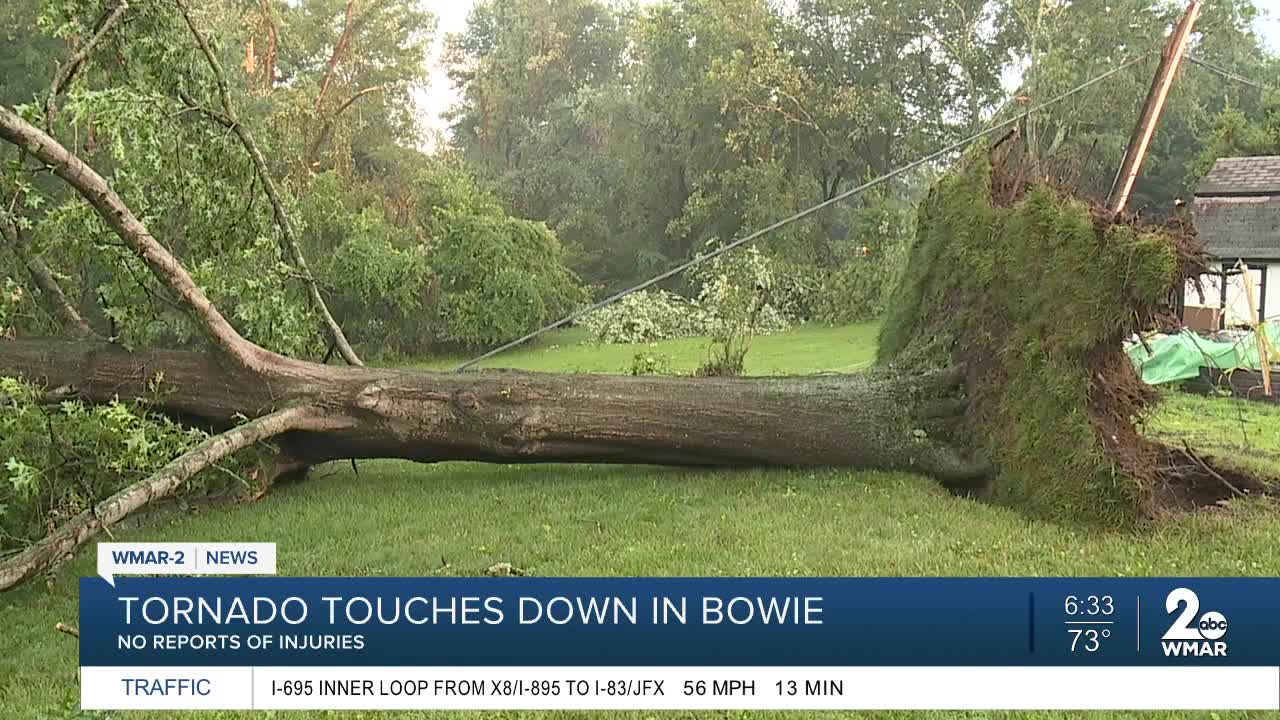 Powerful storms leave trees, powerlines down in Bowie, Anne Arundel Co.