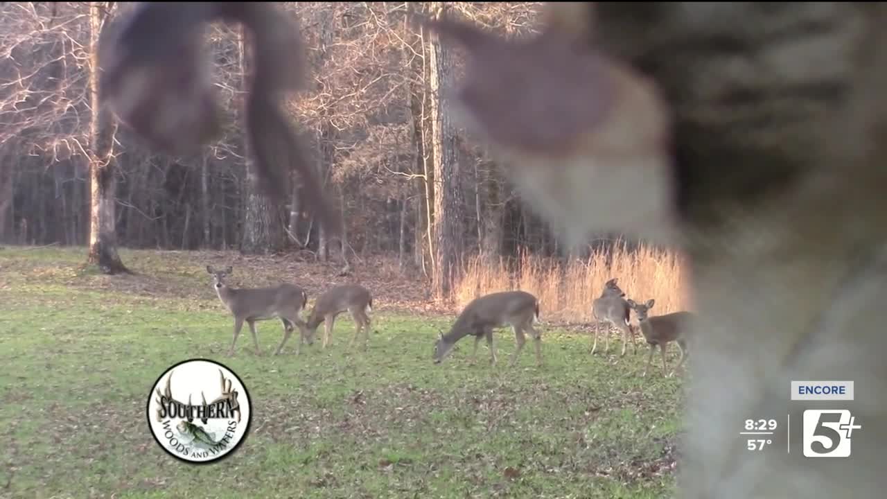 Youth Deer Hunt Season