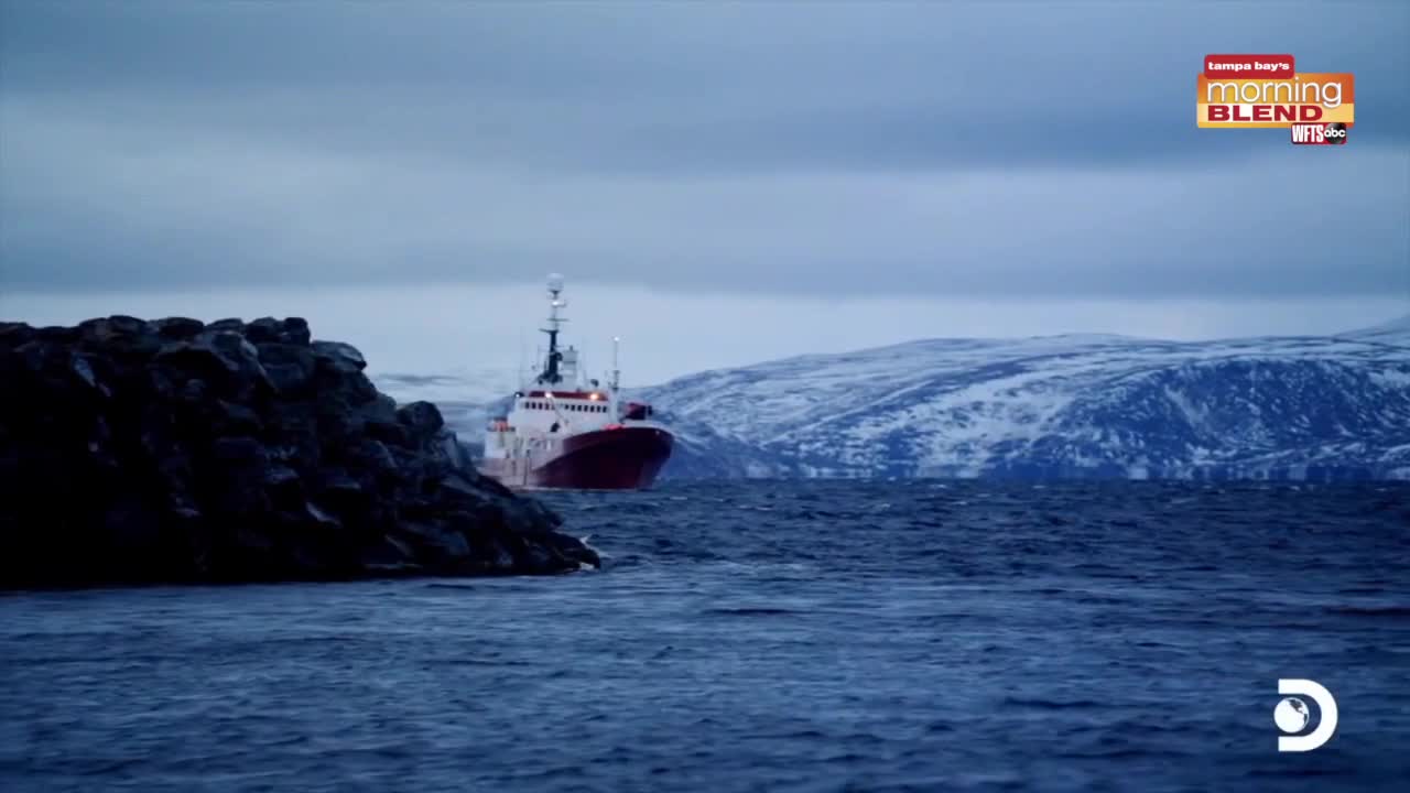 'The Deadliest Catch The Viking Returns' Now Streaming 'The Deadliest Catch The Viking Returns' Now Streaming