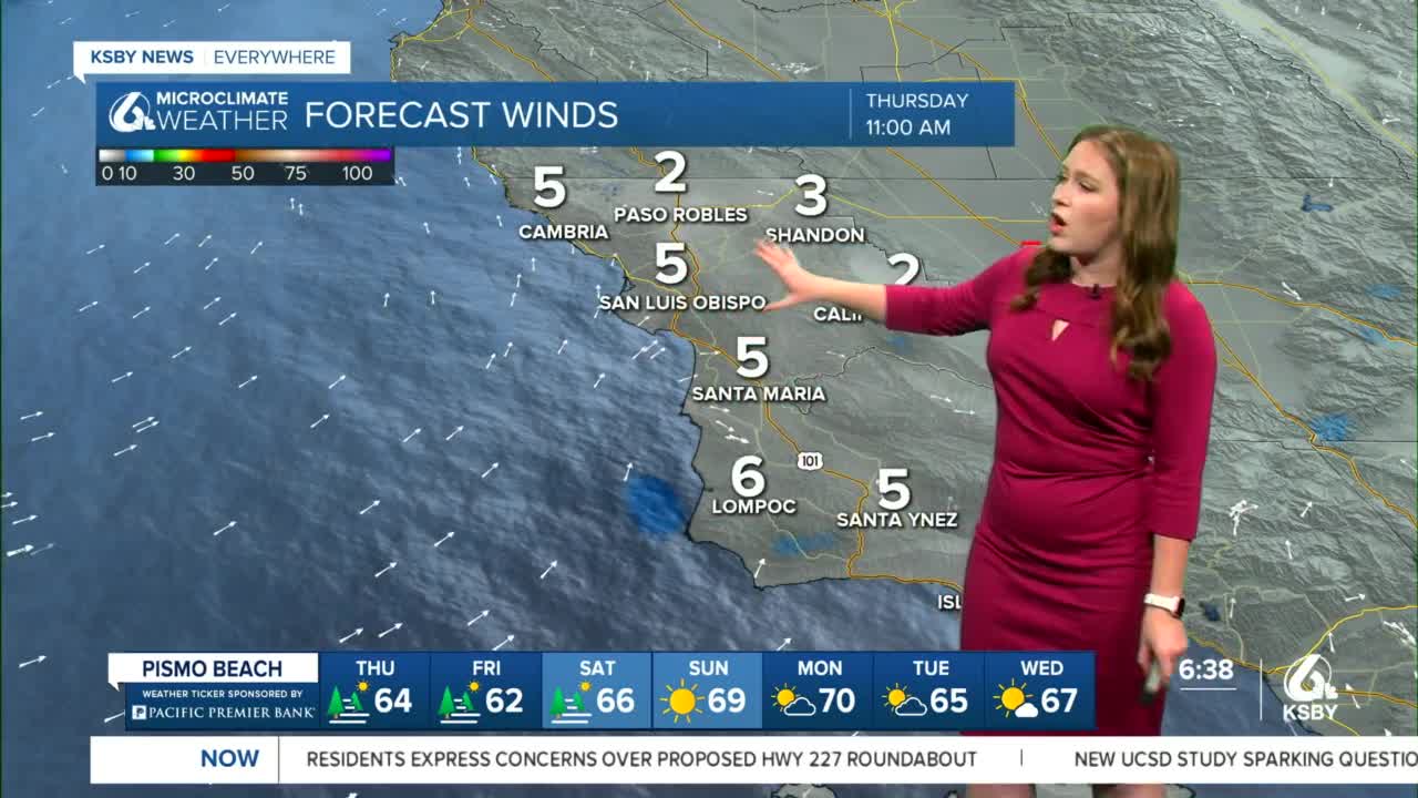 Cooler and foggy conditions for Thursday