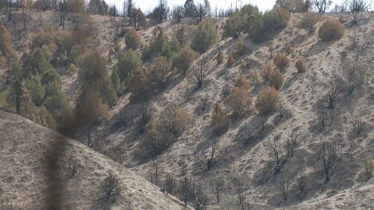 Recent fire makes Utah city most vulnerable to flash flooding - Vimarsana News