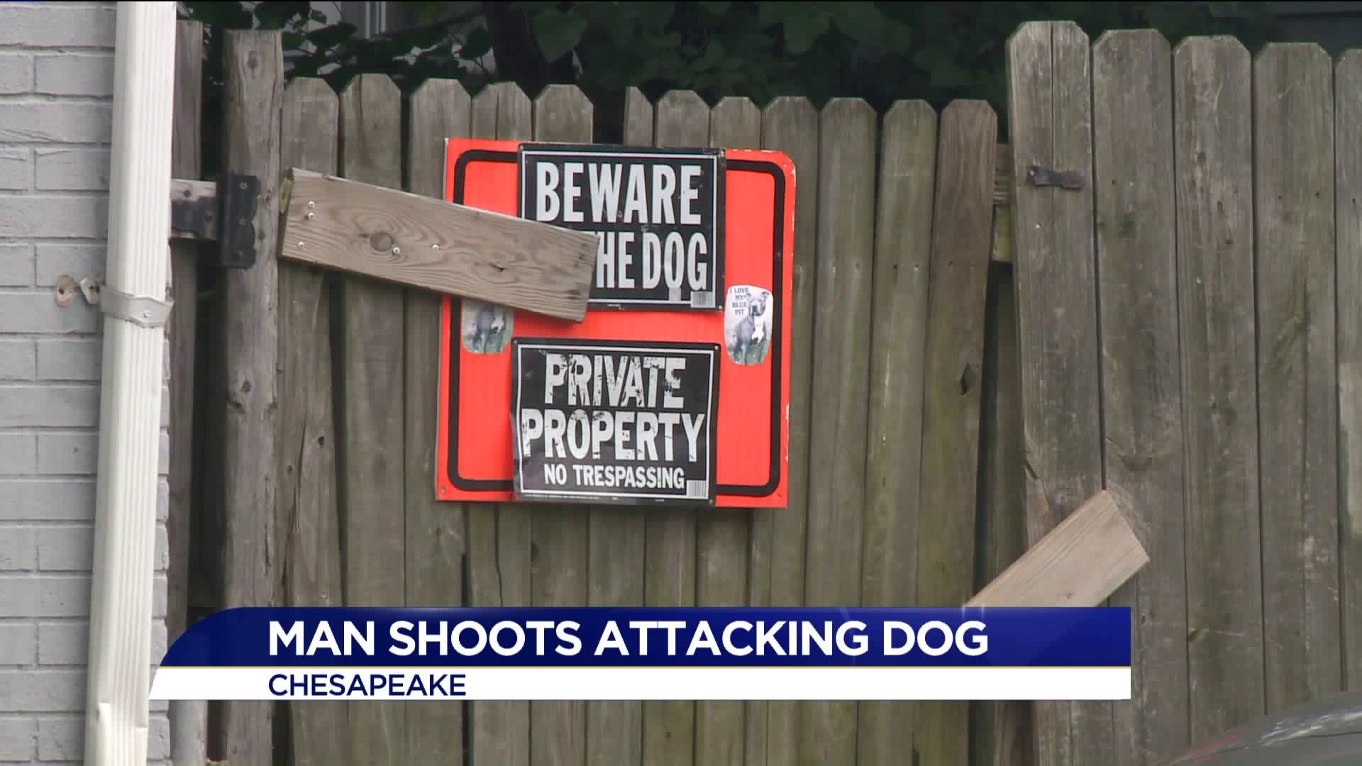 Man shoots dog after attack in Chesapeake, owner fires back