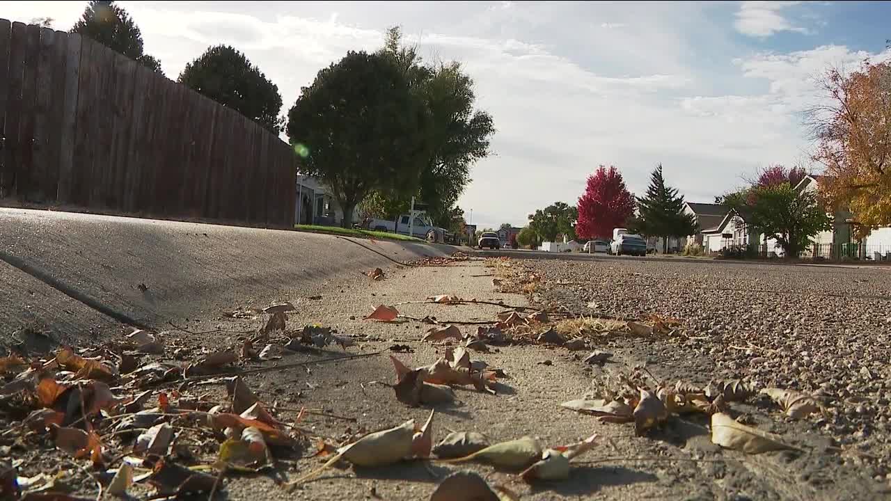 4 teenagers shot, 1 hospitalized in Evans driveby shooting