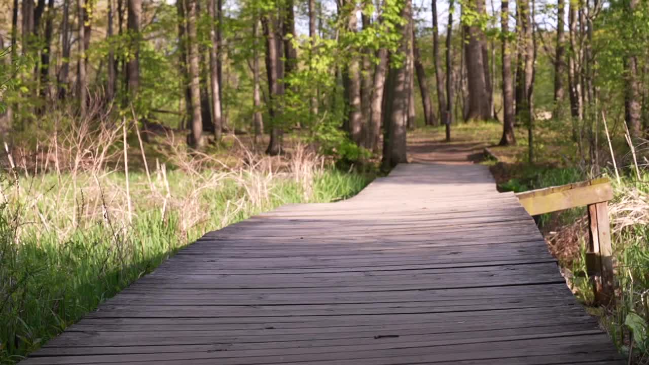 Lake Lansing Park North trails could be lined with stones