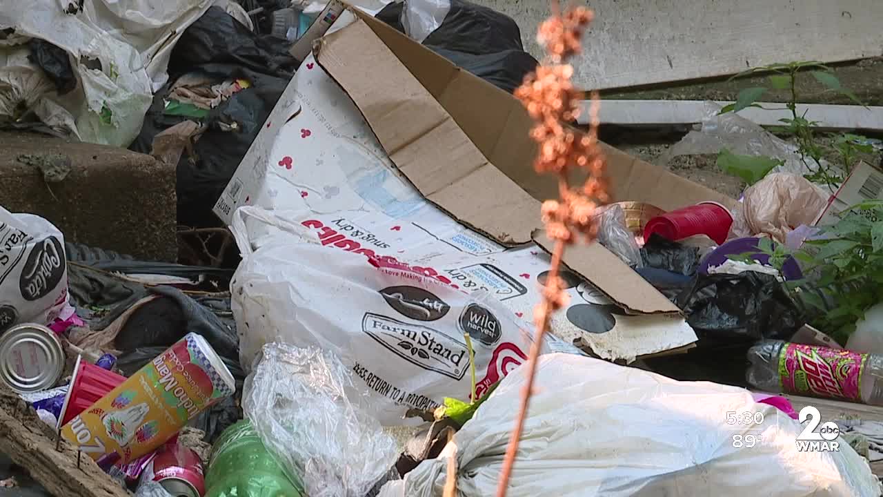 Wasteridden alleyway gets clean sweep in Southwest Baltimore