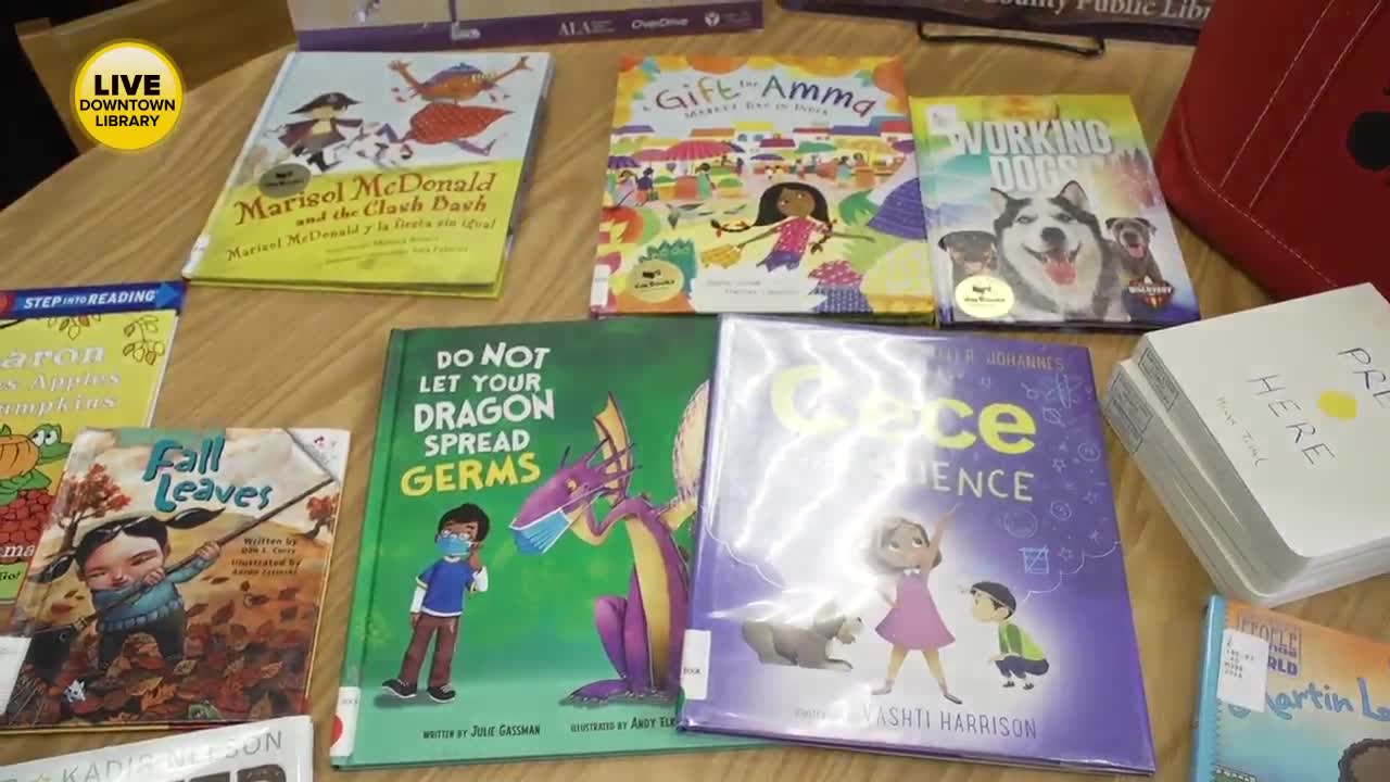 Emily and Mercedes go to the Buffalo and Erie County library