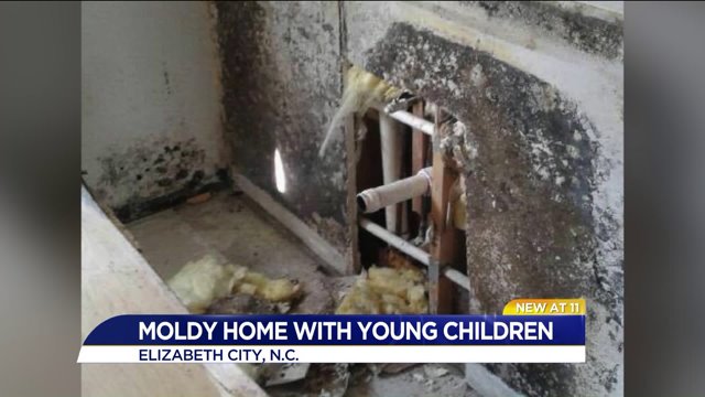 Mom worried about living in apartment with black mold with young kids